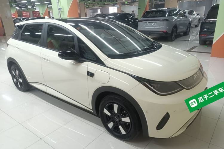 BYD Dolphin 2025 — 3