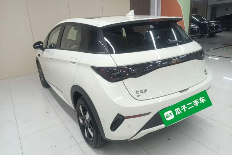 BYD Dolphin 2025 — 4
