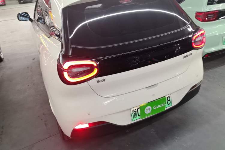 DongFeng NAMMI 01 2024 — 4
