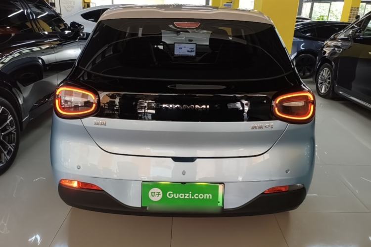 DongFeng NAMMI 01 2024 — 5