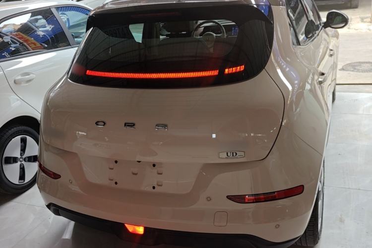 Ora Good Cat 2021 — 5