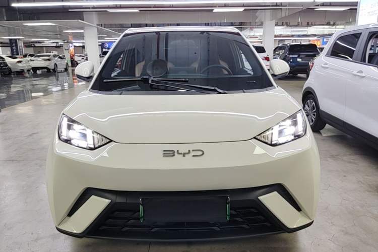 BYD Dolphin Mini 2025 — фото 2