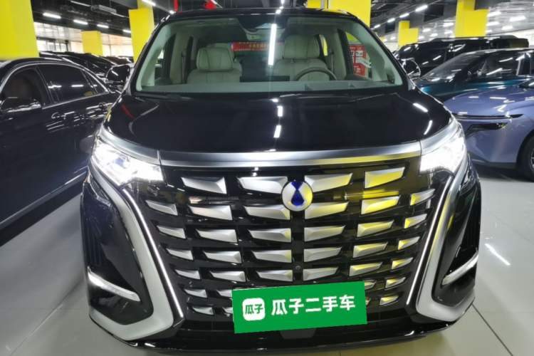 Denza D9 2022 — 2