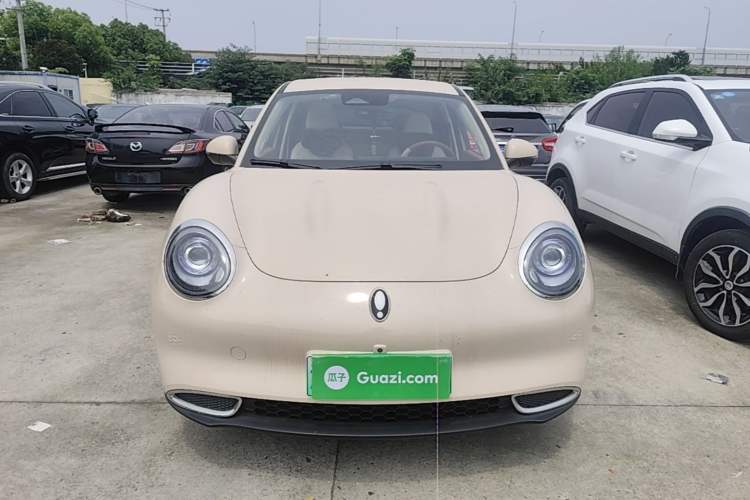 Ora Good Cat 2023 — 2