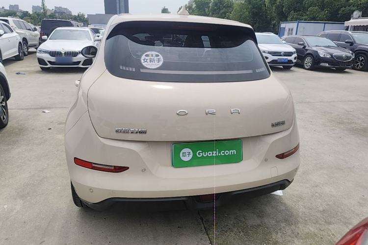 Ora Good Cat 2023 — 5