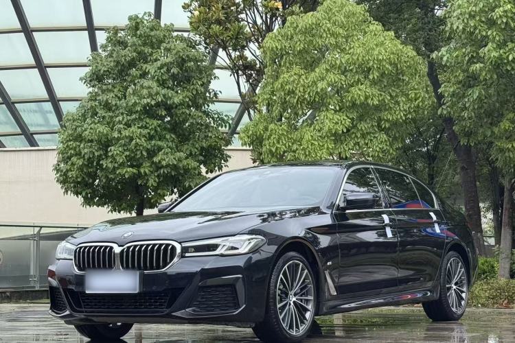 BMW 530Li 2021 — фото 1
