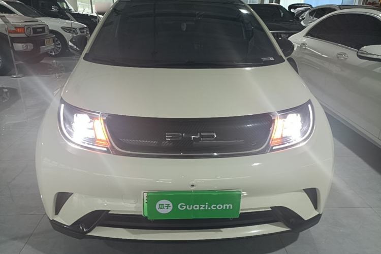 BYD Dolphin 2021 — 2