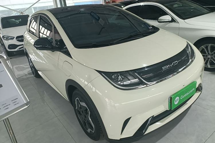 BYD Dolphin 2021 — 3