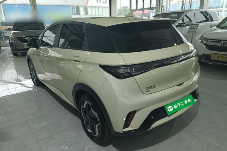 BYD Dolphin 2021 — 4