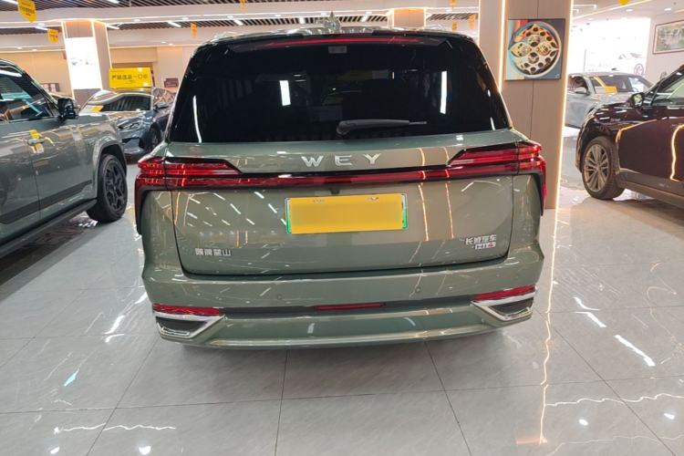 WEY Lanshan 2025 — 5