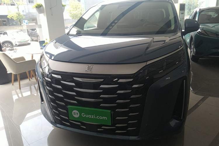 BYD Xia 2025 — 2