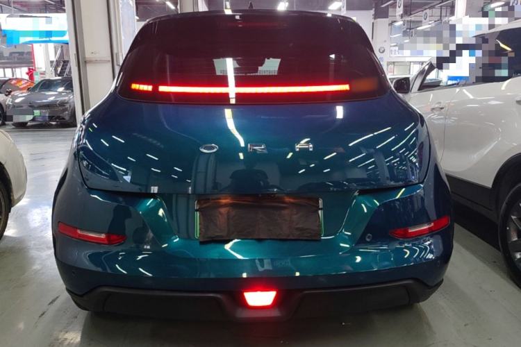 Ora Good Cat 2022 — 5
