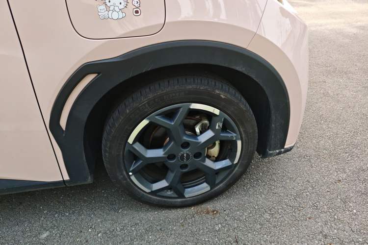 BYD Dolphin Mini 2025 — 2