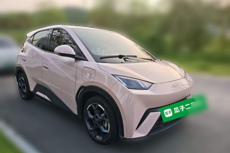 BYD Dolphin Mini 2025 — 3