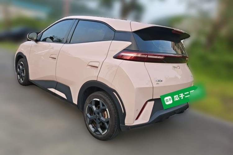 BYD Dolphin Mini 2025 — 4