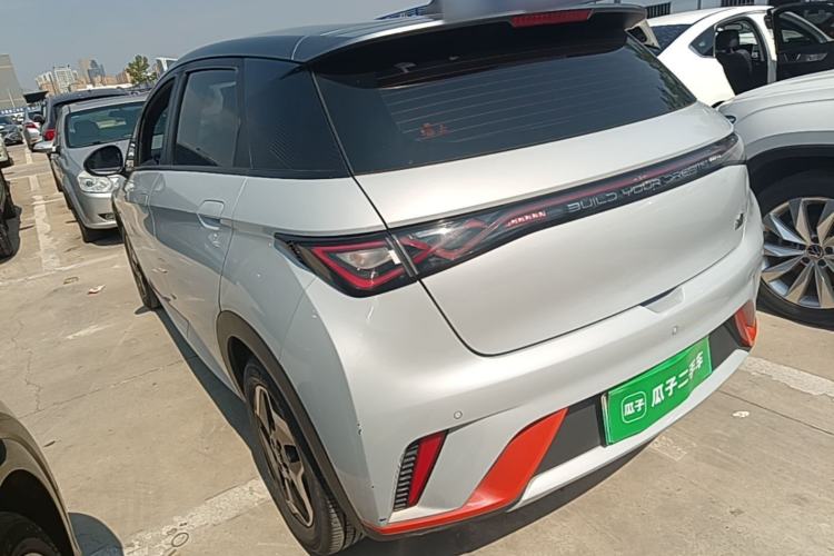 BYD Dolphin 2021 — 4
