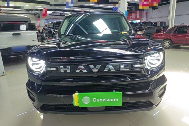 Haval H Dog New Energy 2026 — 2
