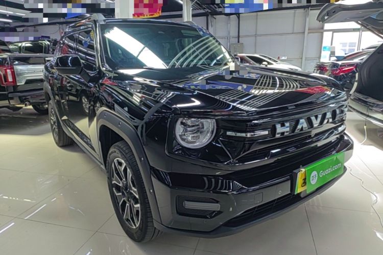 Haval H Dog New Energy 2026 — 3