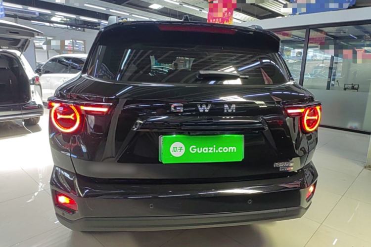 Haval H Dog New Energy 2026 — 5
