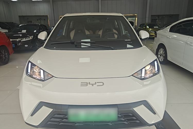 BYD Seagull 2025 — 2