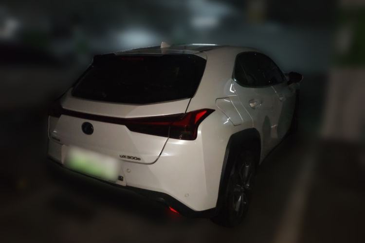 Lexus UX 300e 2020 — фото 4