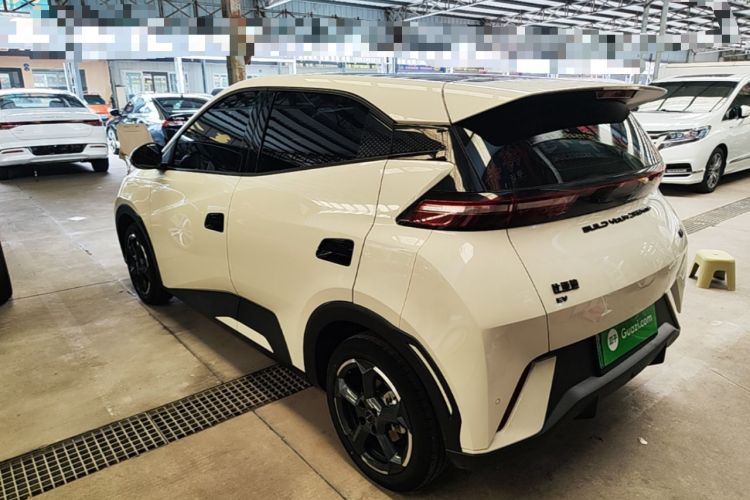 BYD Seagull 2024 — 4