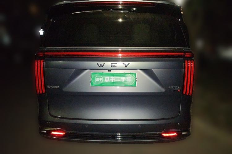 WEY Gaoshan 2023 — 3