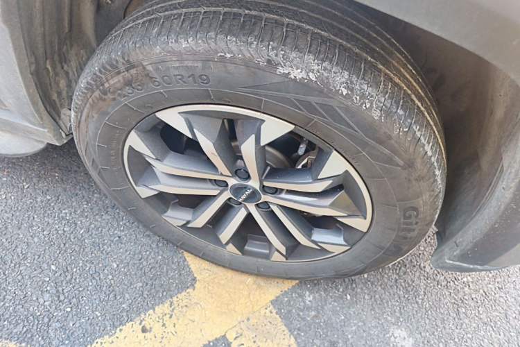 Haval Dargo 2023 — фото 5