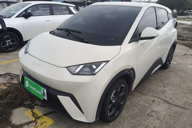 BYD Dolphin Mini 2025 — фото 1