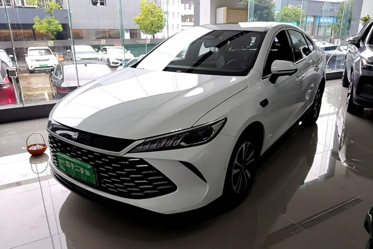 BYD Qin PLUS 2025 — фото 1