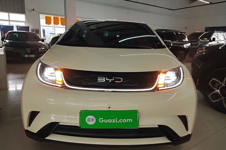 BYD Dolphin 2025 — 2