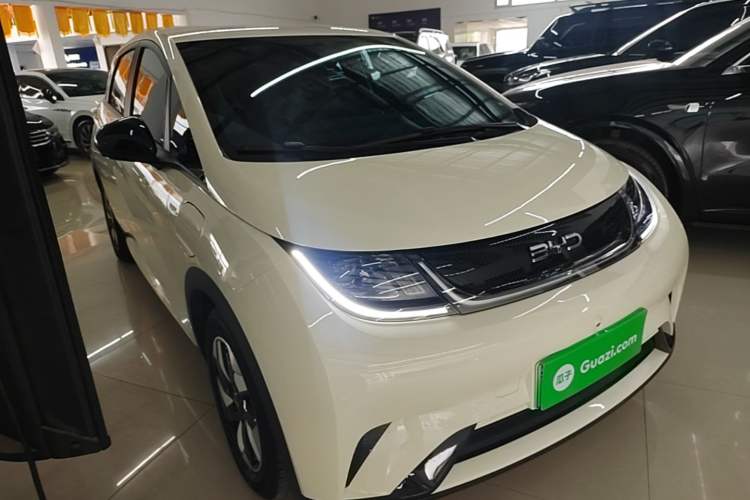 BYD Dolphin 2025 — 3