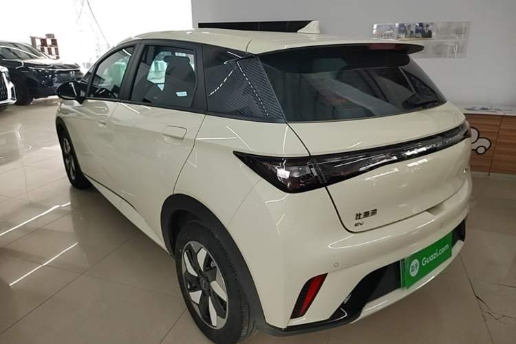 BYD Dolphin 2025 — 4