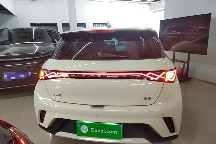 BYD Dolphin 2025 — 5