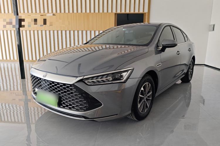 BYD Qin PLUS 2024 — фото 1