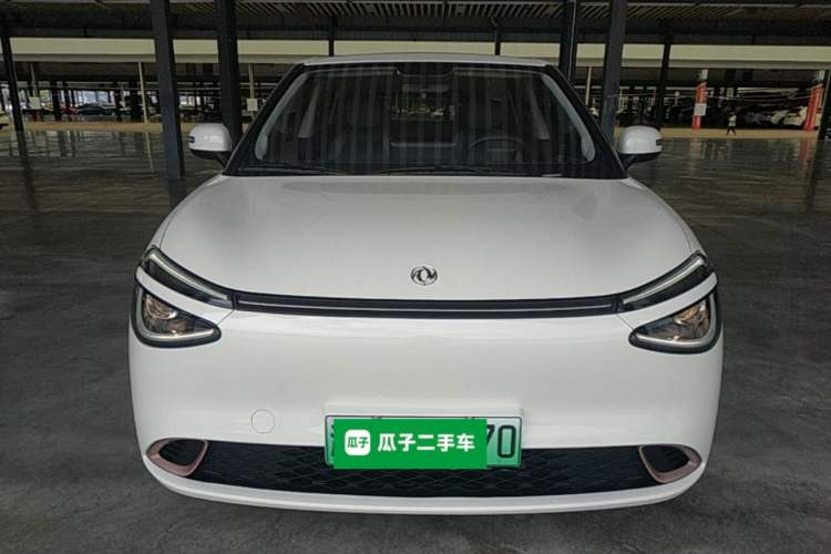DongFeng Nammi 01 2026 — 2