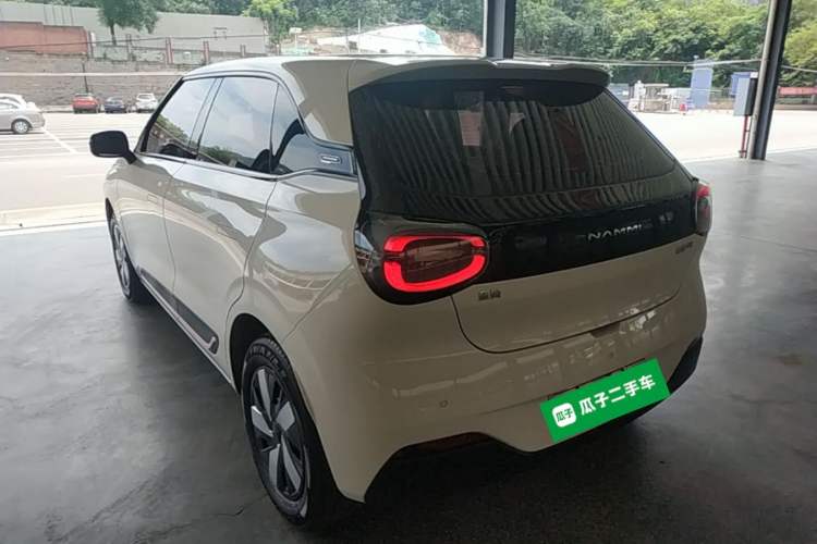 DongFeng Nammi 01 2026 — 4