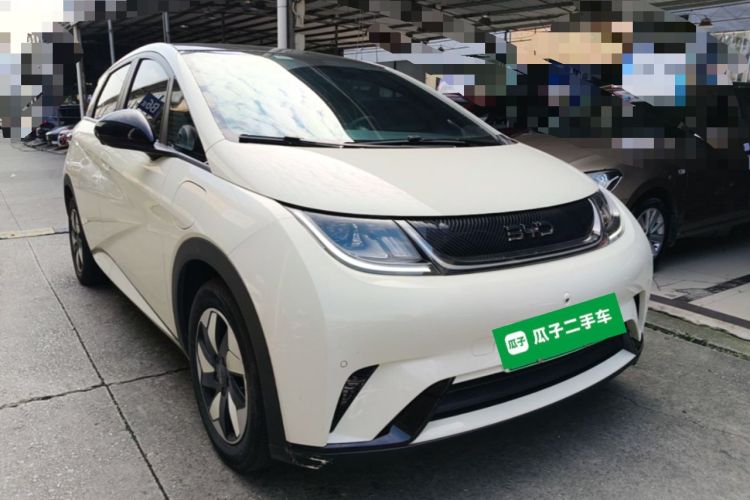 BYD Dolphin 2024 — 3