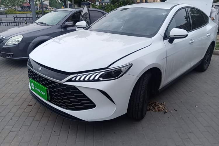 BYD Qin PLUS 2025 — фото 1