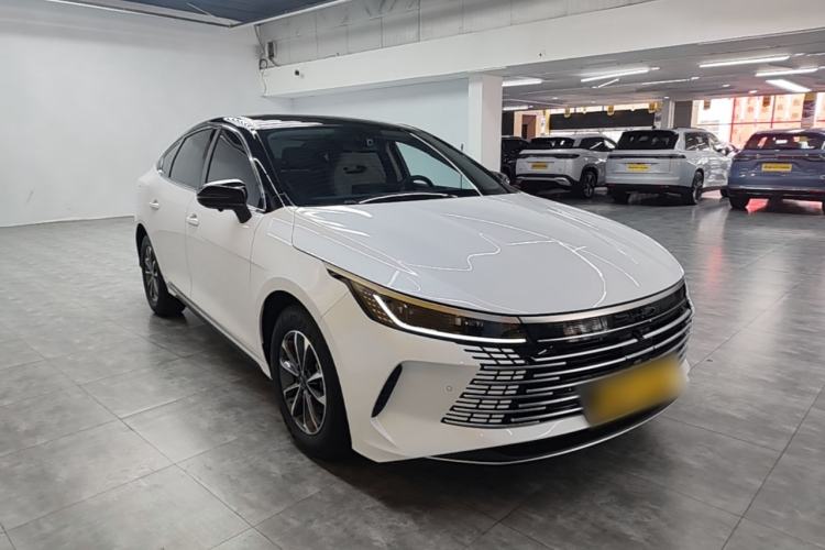 BYD Destroyer 05 2024 — 3