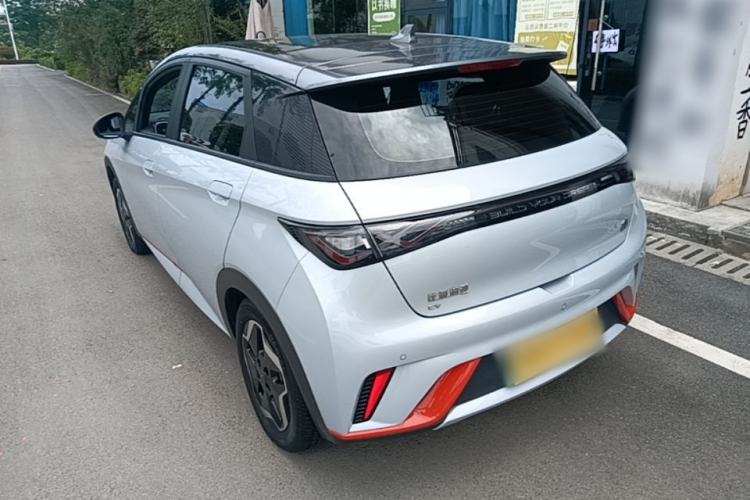 BYD Dolphin 2021 — 4