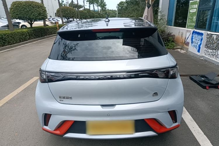 BYD Dolphin 2021 — 5