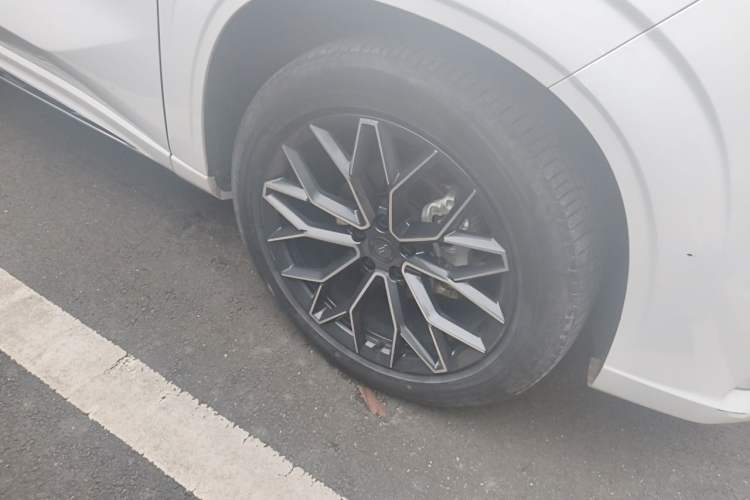 ChangAn OSHAN Z6 New Energy 2022 — 5