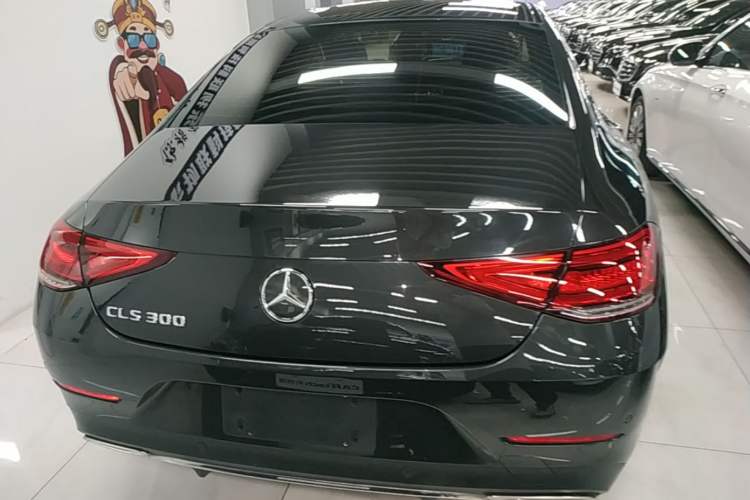 Mercedes-Benz CLS 300 2021 — 5