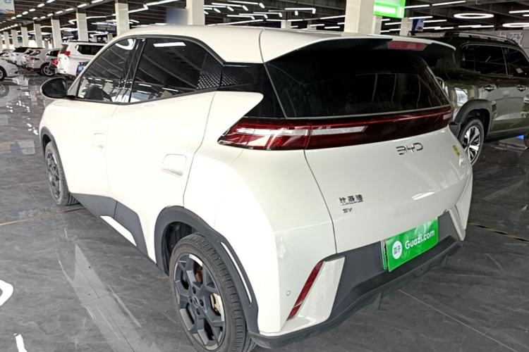 BYD Dolphin Mini 2025 — 4