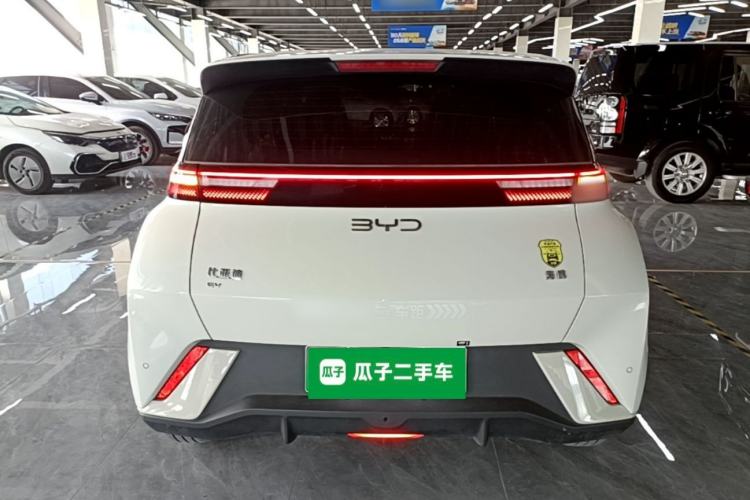 BYD Dolphin Mini 2025 — 5