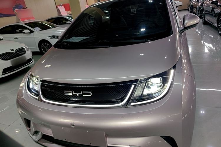 BYD Dolphin 2021 — 2