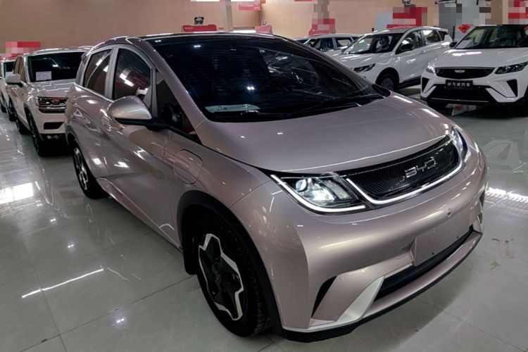 BYD Dolphin 2021 — 3