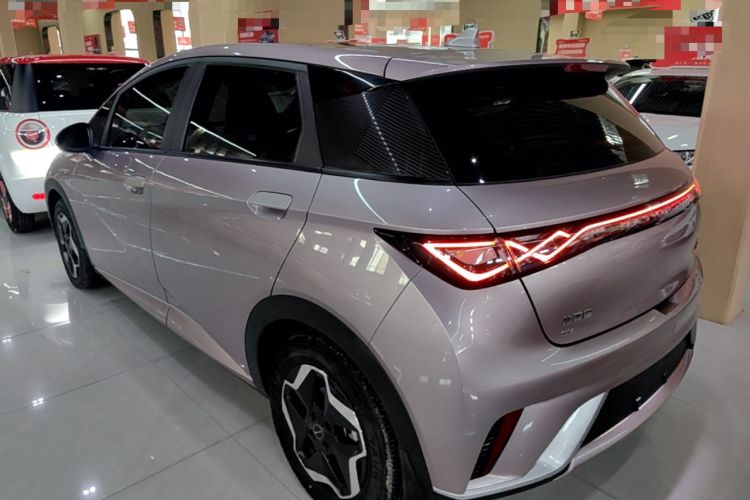 BYD Dolphin 2021 — 4