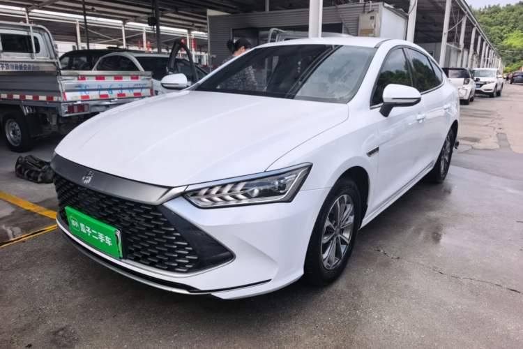 BYD Qin PLUS 2024 — фото 1